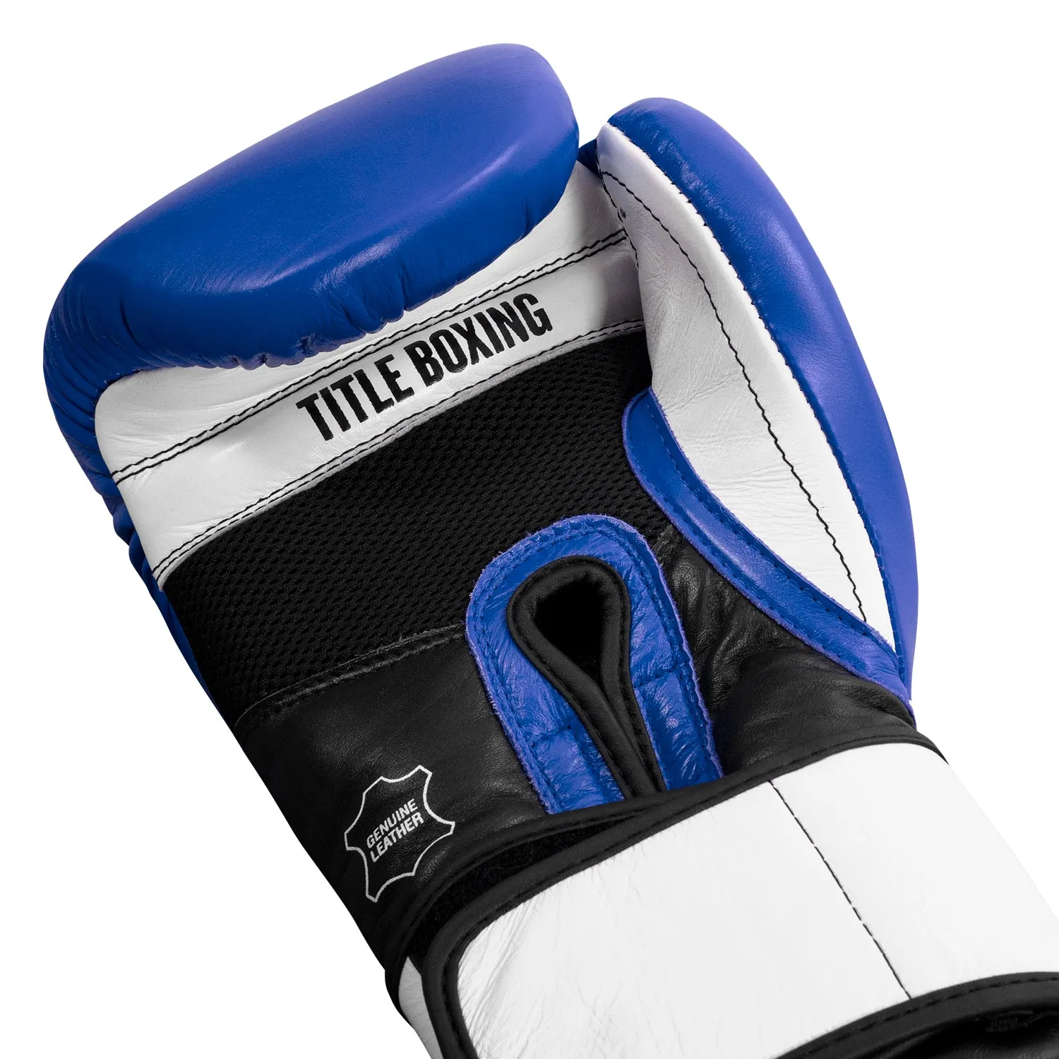 TITLE Boxing Premium Leather Performance Training Gloves